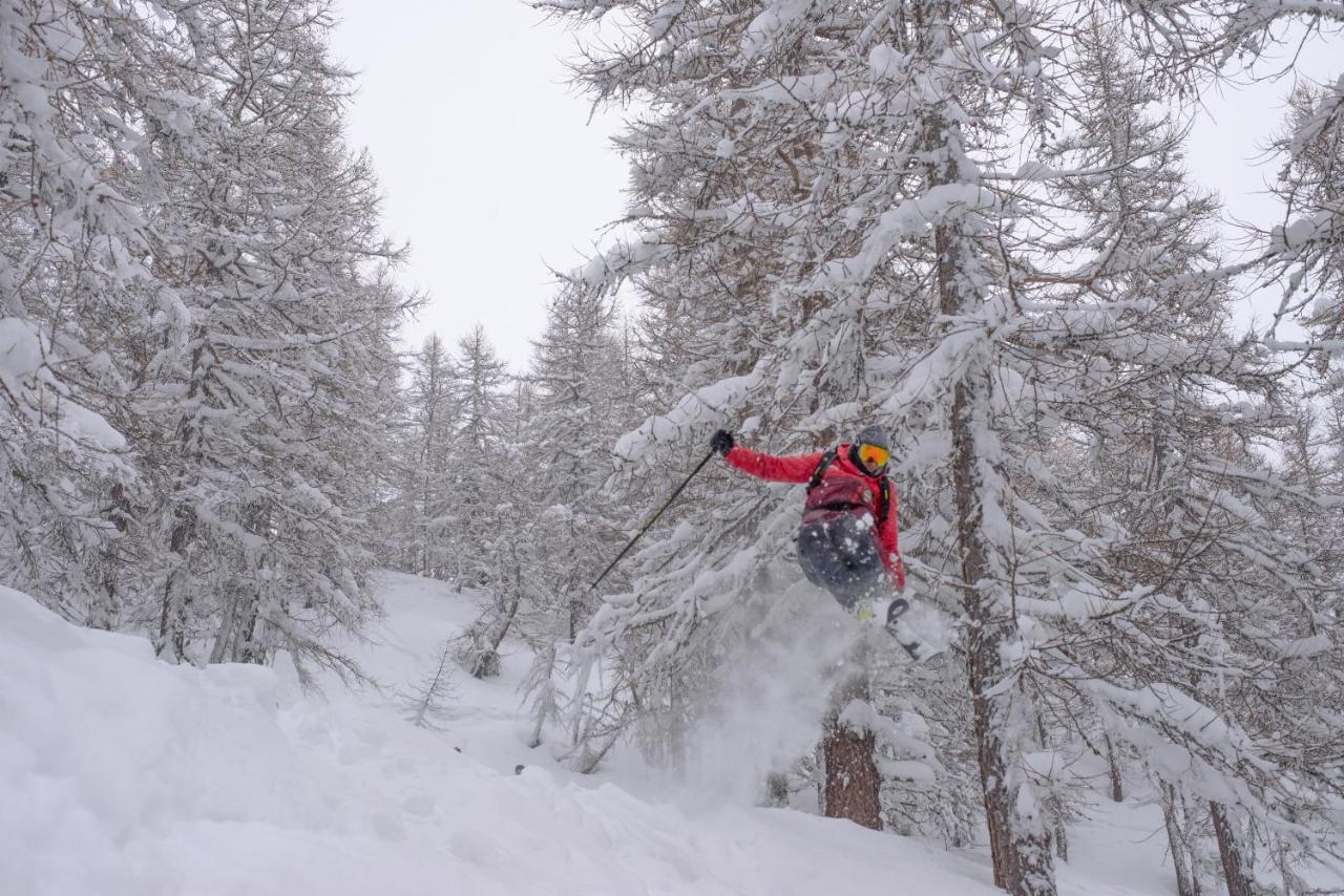 Chalet Della Guida Bardonecchia Dış mekan fotoğraf