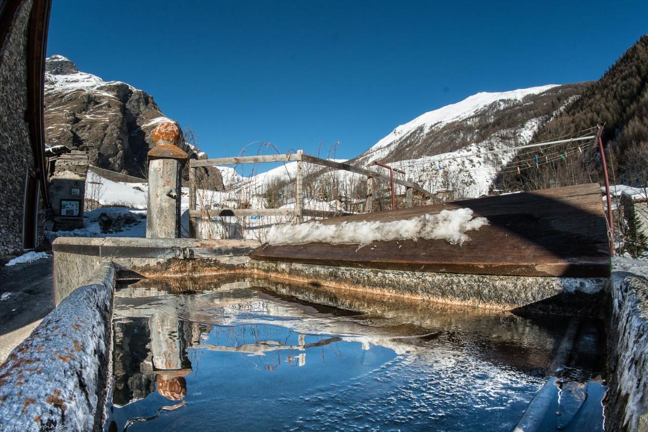 Chalet Della Guida Bardonecchia Dış mekan fotoğraf